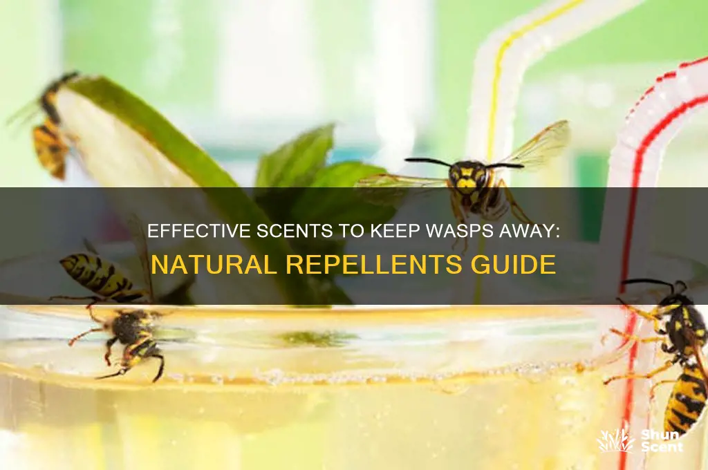 what scent deters wasps