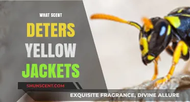 Effective Scents to Repel Yellow Jackets: Natural Deterrent Solutions