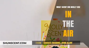 Molly's Air Freshener Choice: Unveiling Her Signature Scent Secret