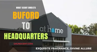 Unveiling the Mysterious Scent Guiding Buford to Headquarters