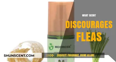 Natural Flea Repellents: Scents That Keep Fleas at Bay