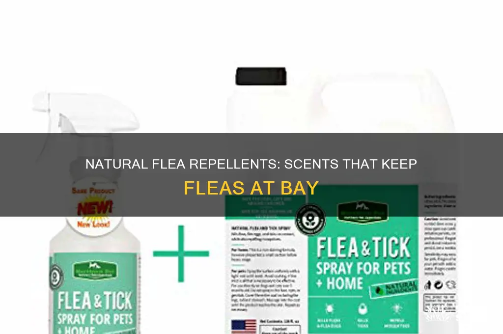 what scent discourages fleas