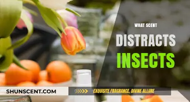 Discover Scents That Naturally Distract and Repel Pesky Insects Effectively