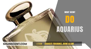 Unveiling the Perfect Aromas for the Aquarius Zodiac Sign