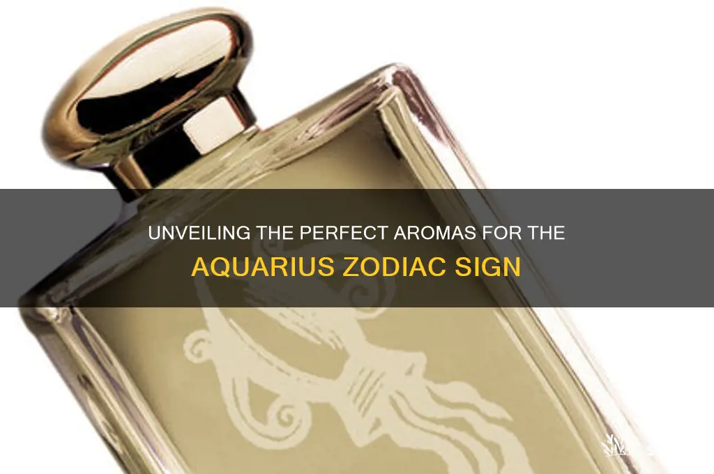what scent do aquarius