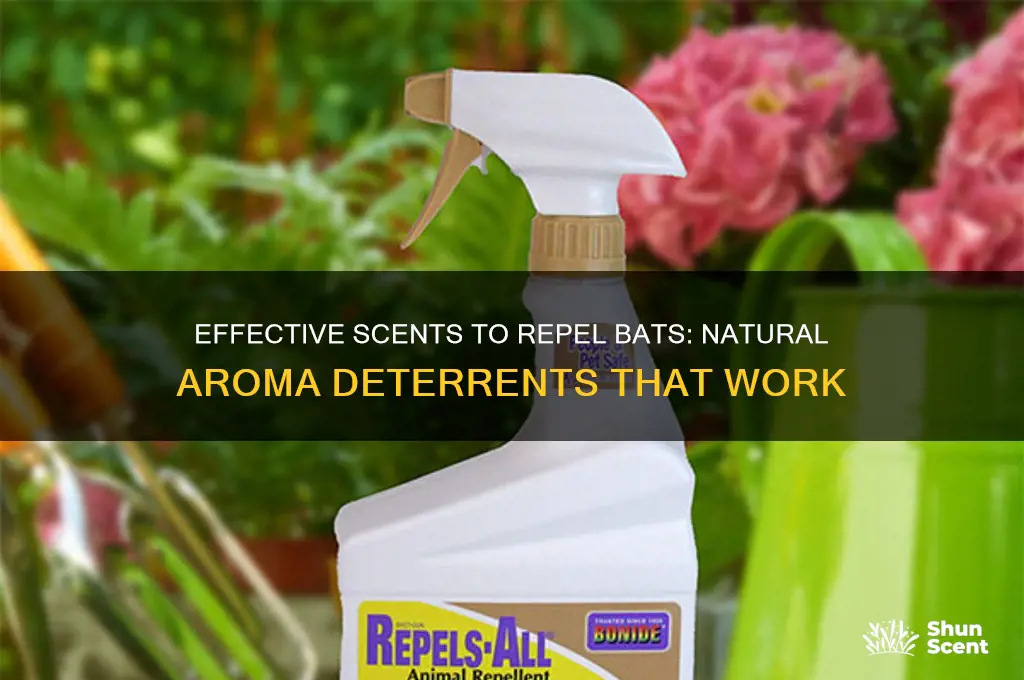 what scent do bats do not like