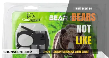 Unpleasant Aromas: Scents That Naturally Repel Bears in the Wild