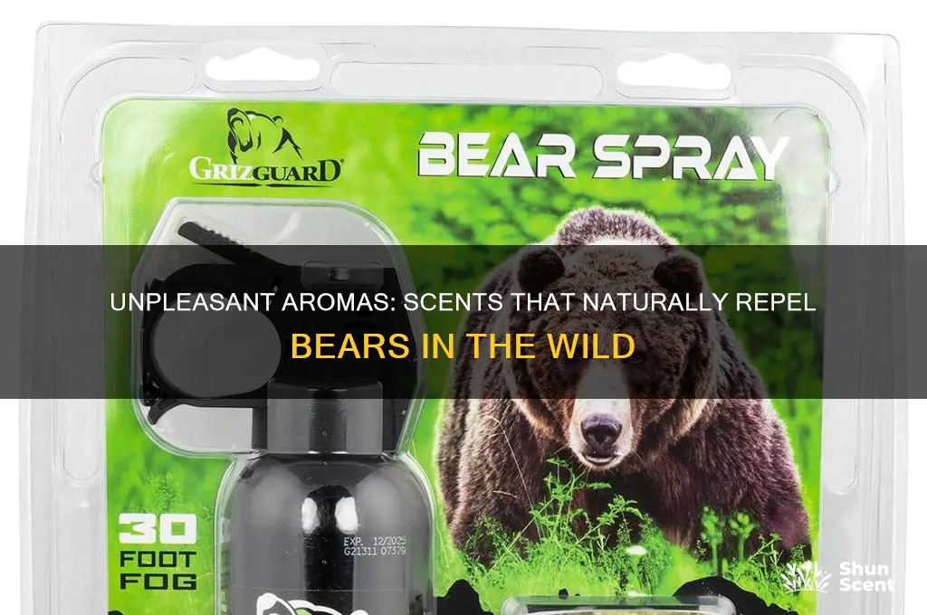 what scent do bears not like