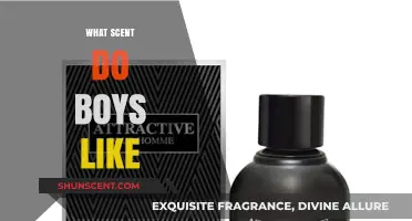Scents That Attract: What Fragrances Do Boys Really Like?