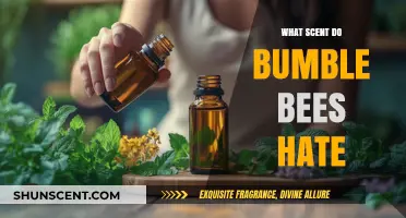 Unwanted Scents: Discovering the Aromas That Repel Bumble Bees