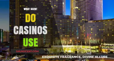 Unveiling the Secret: What Scent Do Casinos Use to Enhance Experience?