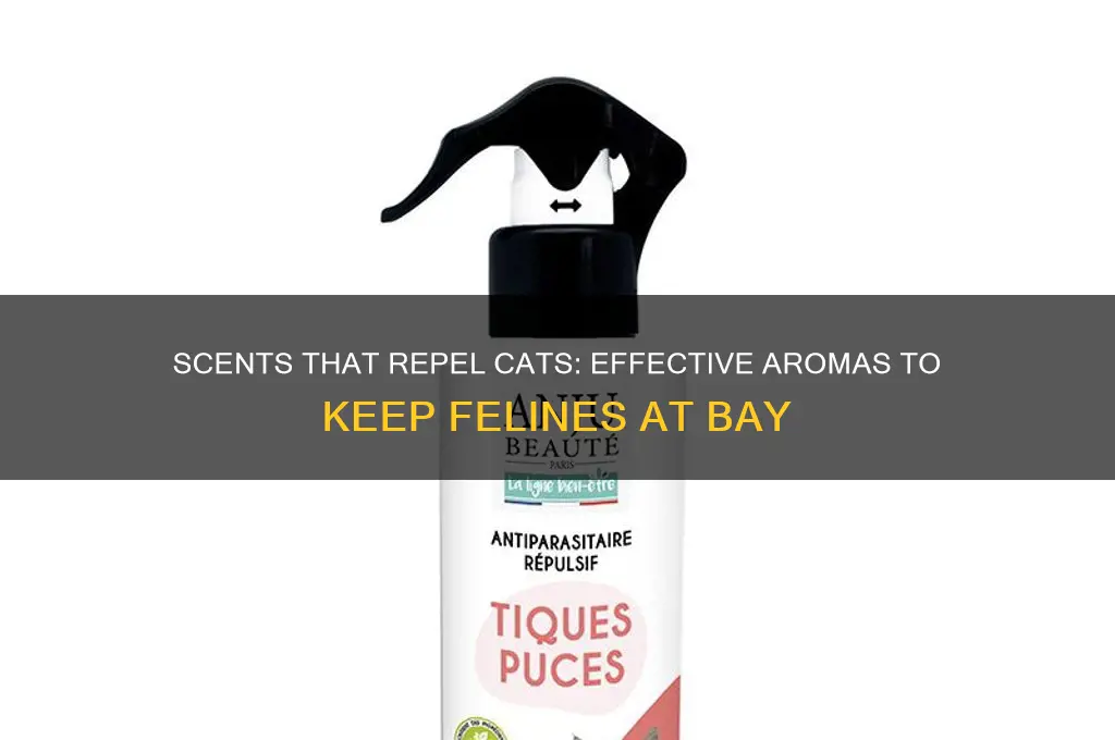 what scent do cats stay away from