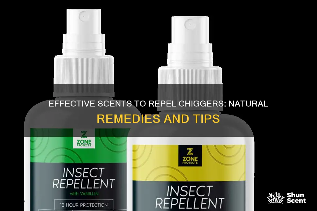what scent do chiggers hate