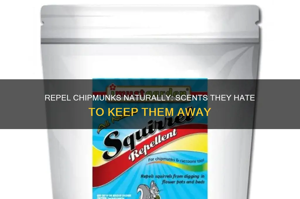 what scent do chipmunks hate