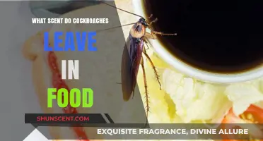 Uncovering the Unpleasant Scent Cockroaches Leave Behind in Contaminated Food