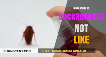 Repel Cockroaches Naturally: Scents They Hate and How to Use Them