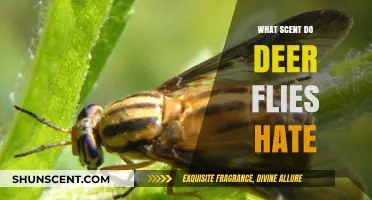Effective Scents to Repel Deer Flies: Natural Solutions for Outdoor Comfort
