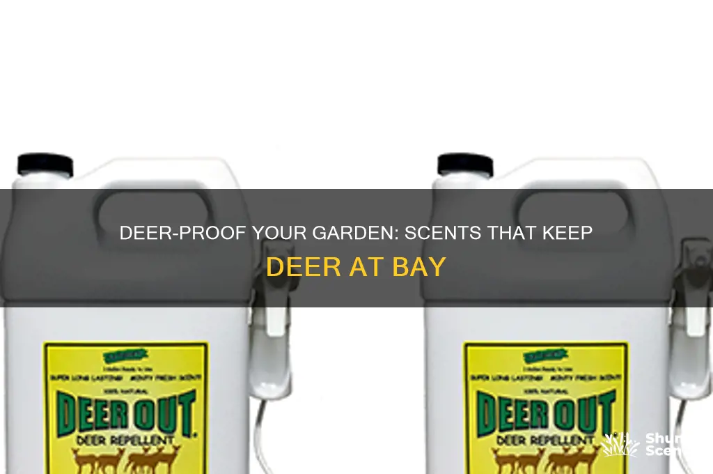 what scent do deer not like