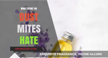 Effective Scents to Repel Dust Mites and Keep Your Home Allergen-Free