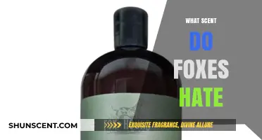 Uncover the Scents That Drive Foxes Away: A Comprehensive Guide