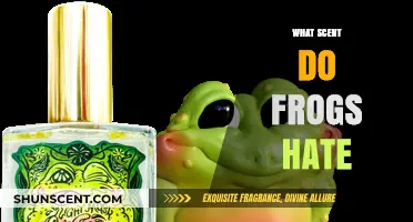 Frog-Proof Your Garden: Scents That Repel Frogs Effectively