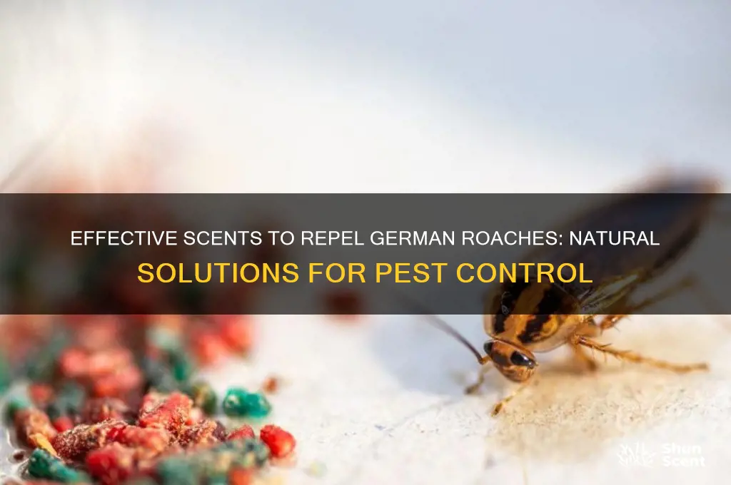 what scent do german roaches hate