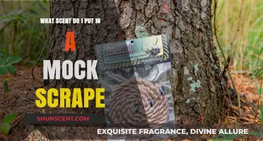 Mastering Mock Scrapes: Choosing the Perfect Scent for Deer Hunting Success
