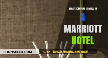 Unveiling the Signature Scent of Marriott Hotels: A Fragrant Experience