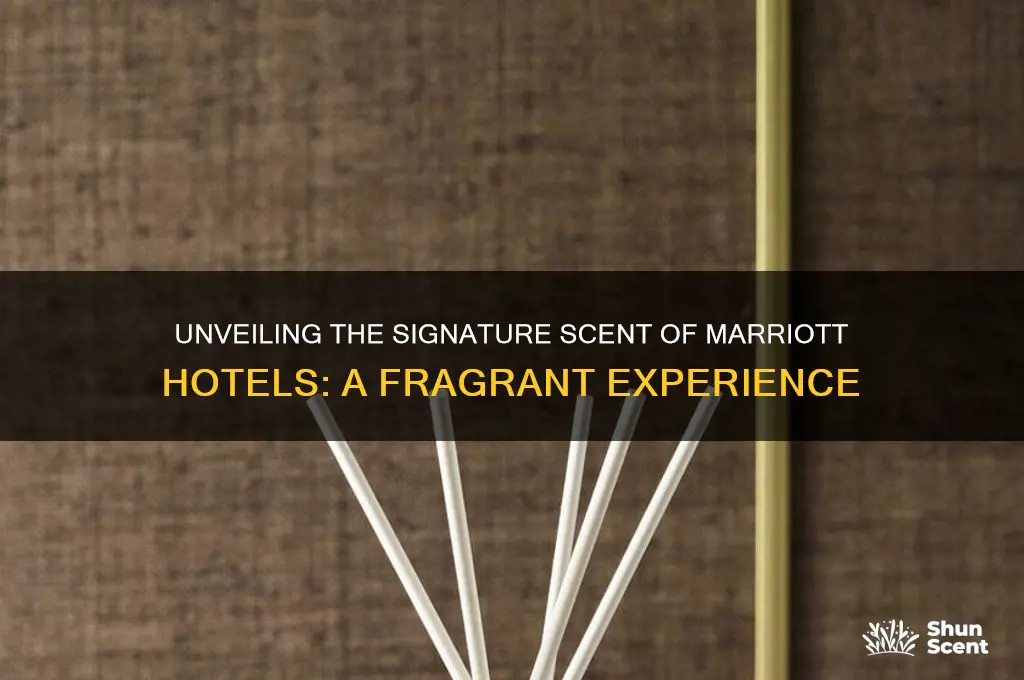 what scent do i smell in a marriott hotel