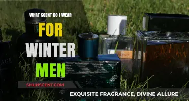 Winter Warmth: Top Masculine Fragrances for the Cold Season
