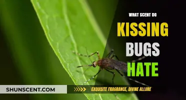 Repel Kissing Bugs: Discover the Scents They Hate Most