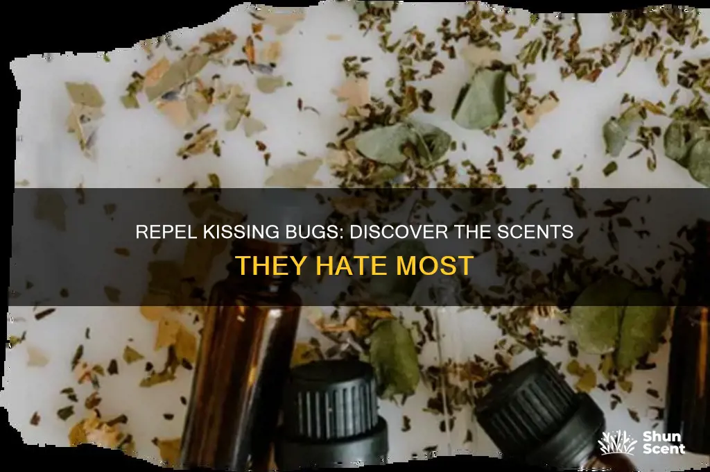 what scent do kissing bugs hate