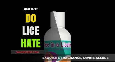 Natural Lice Repellents: Scents That Keep Head Lice at Bay