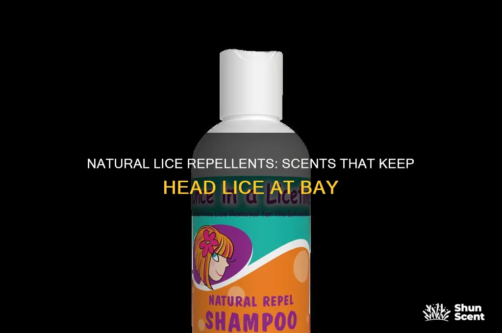 what scent do lice hate