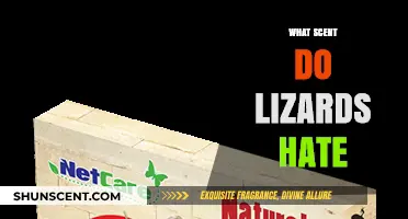 Repel Lizards Naturally: Scents They Hate and How to Use Them