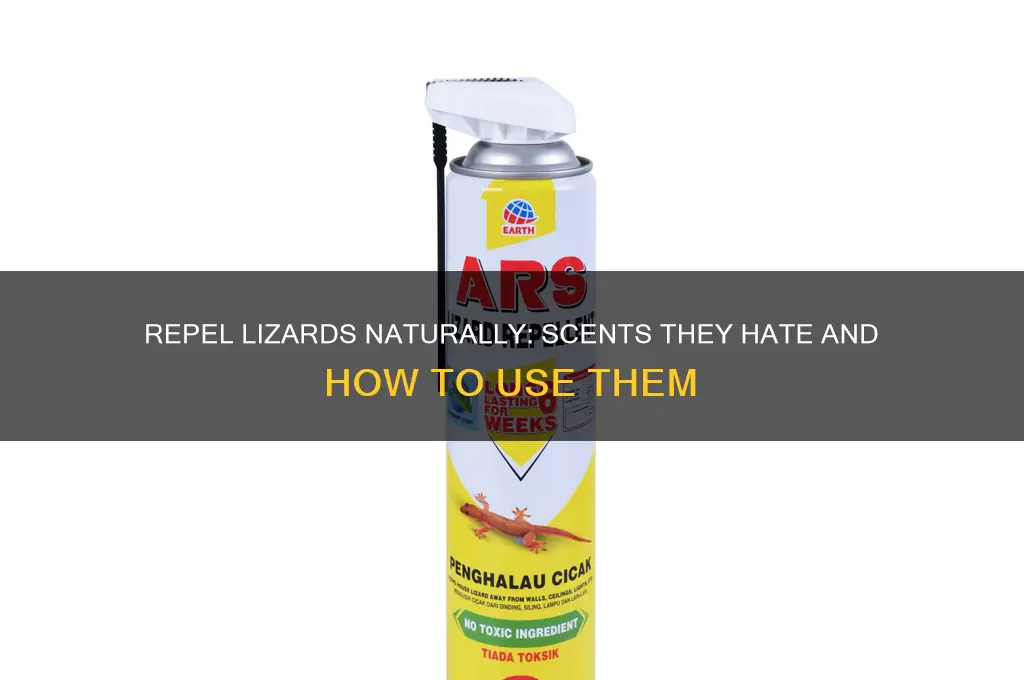 what scent do lizards hate
