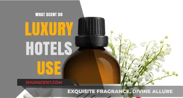 Unveiling the Signature Scents of Luxury Hotels: A Sensory Journey