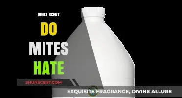 Natural Mite Repellents: Scents That Keep Mites Away Effectively