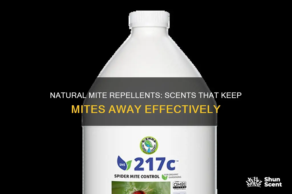 what scent do mites hate