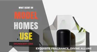 Unveiling the Signature Scents of Model Homes: A Fragrant Appeal