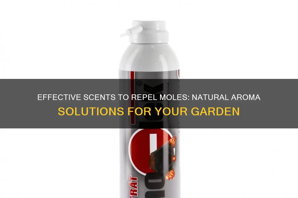 what scent do moles hate
