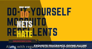 Discover Scents That Repel Mosquitoes: Natural Ways to Keep Nets Pest-Free