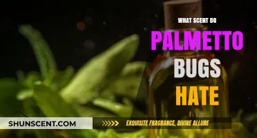 Repel Palmetto Bugs: Discover the Scents They Despise Most