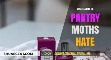Repel Pantry Moths Naturally: Discover Scents They Despise and Avoid