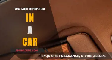 Discover the Most Loved Car Scents for a Fresh Ride