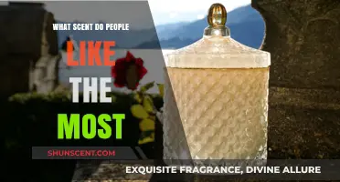 Discovering the Most Beloved Scents: A Journey Through Popular Aromas