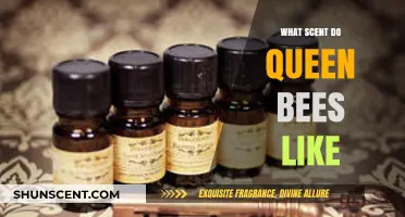 Unveiling the Royal Preferences: Scents That Captivate Queen Bees