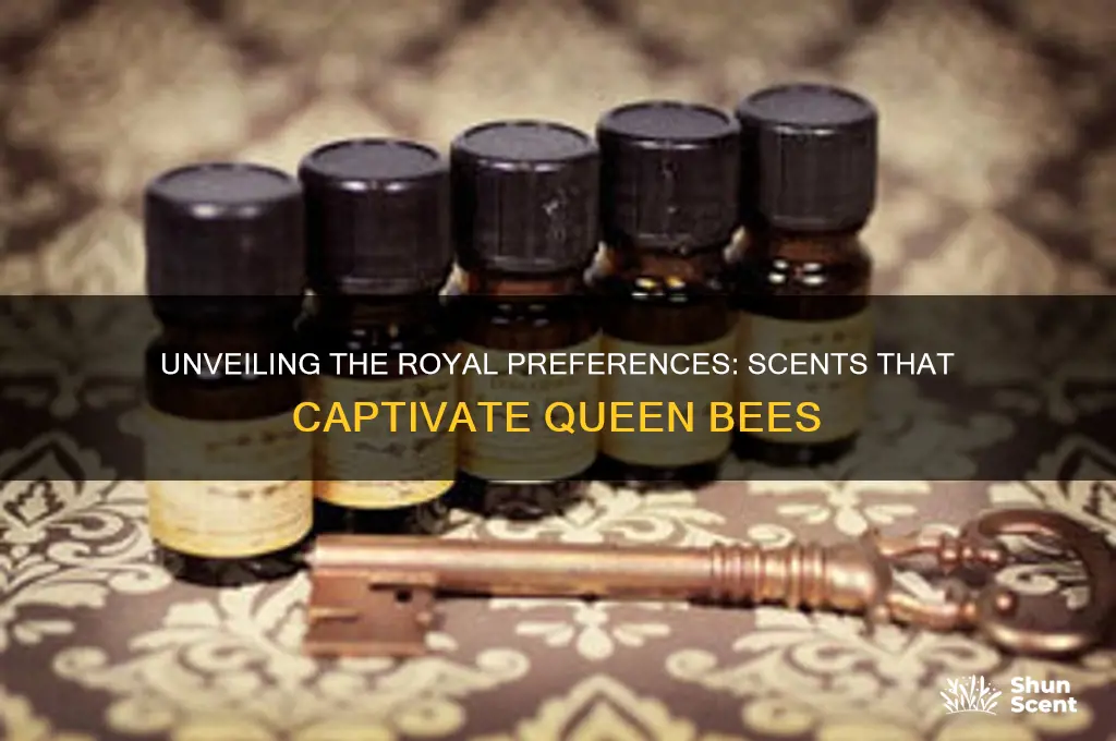 what scent do queen bees like