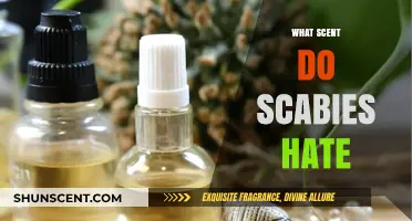 Natural Scabies Repellents: Scents That Keep These Mites at Bay