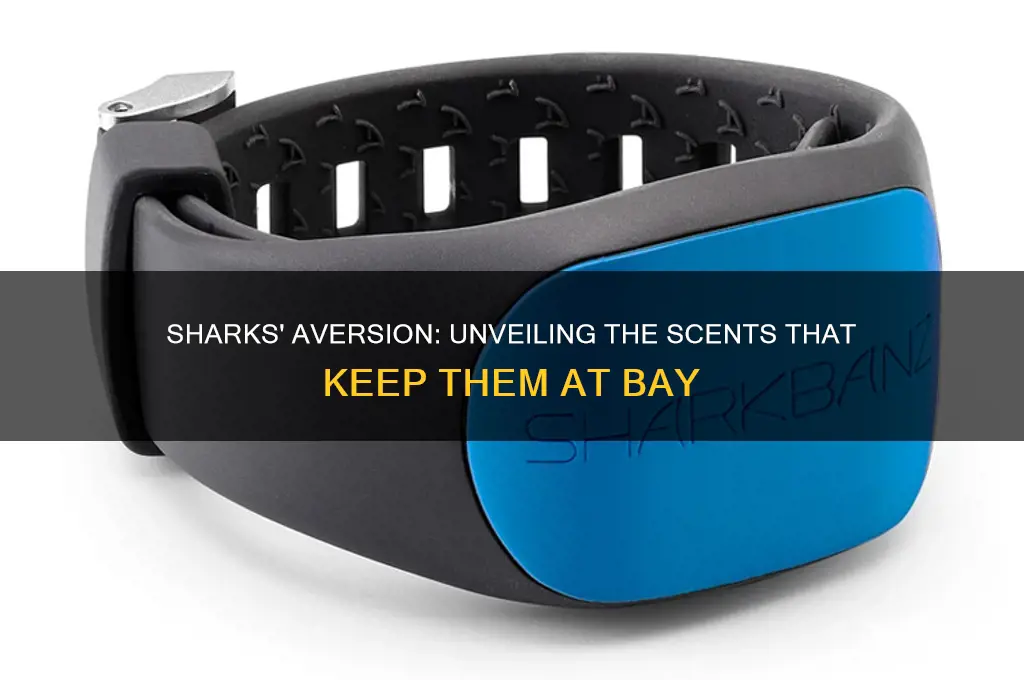what scent do sharks hate